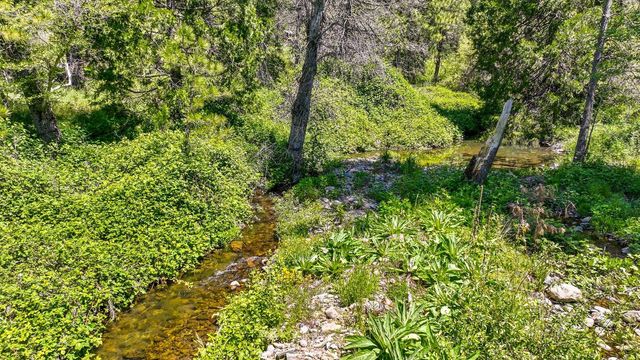 7744 Swiss Ranch Rd, Mountain Ranch, CA 95246