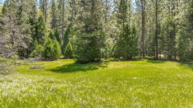 7744 Swiss Ranch Rd, Mountain Ranch, CA 95246