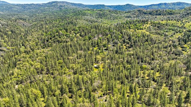 7744 Swiss Ranch Rd, Mountain Ranch, CA 95246
