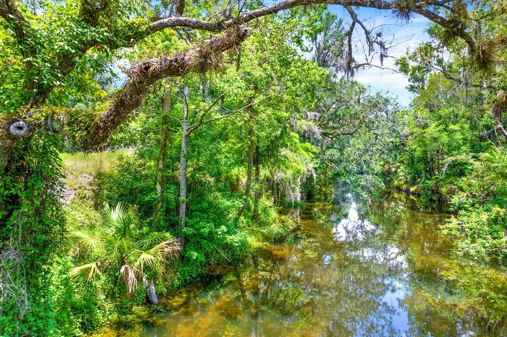 1115 MYRTLE ROAD, Valrico, FL 33596