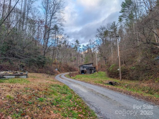 77 Griffith Branch Road, Green Mountain, NC 28740