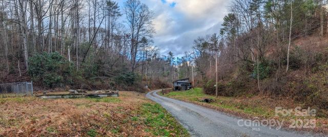77 Griffith Branch Road, Green Mountain, NC 28740