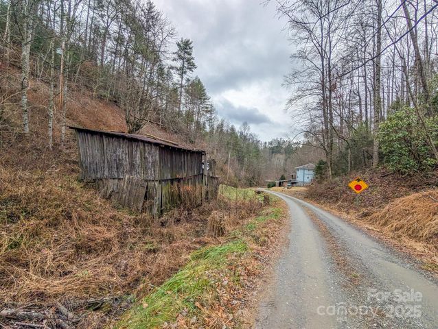 77 Griffith Branch Road, Green Mountain, NC 28740