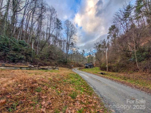 77 Griffith Branch Road, Green Mountain, NC 28740