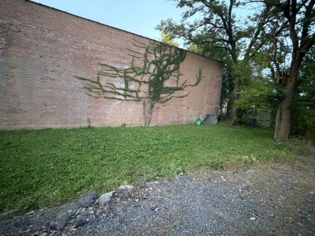 4943 S Shields Avenue, Chicago, IL 60609 — photo 4