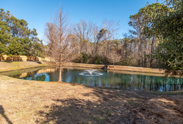 2111 Chatelain Way, Mount Pleasant, SC 29464