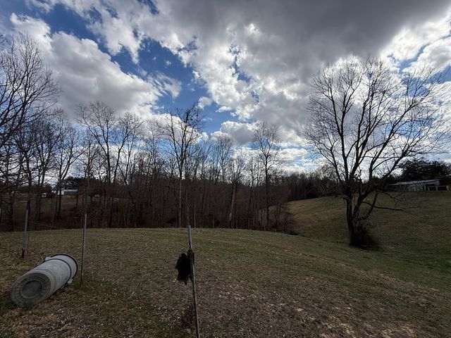 262 Burristown Paradise Ln, Gainesboro, TN 38562