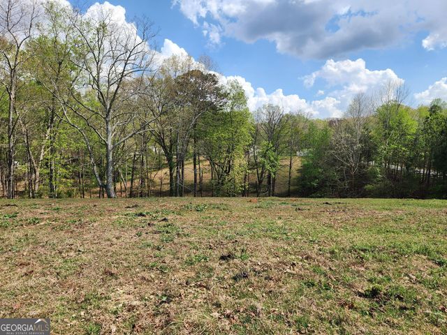 120 Grandview Drive, Ball Ground, GA 30107