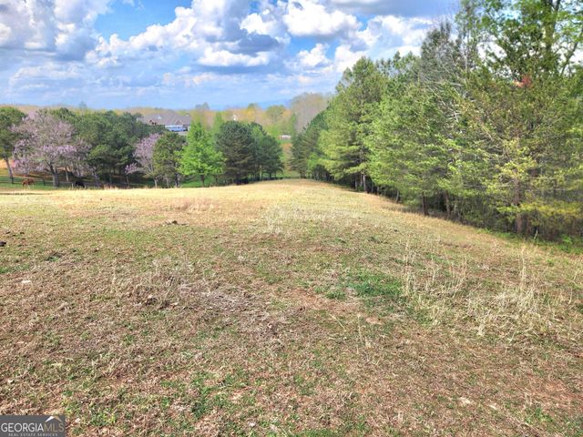 120 Grandview Drive, Ball Ground, GA 30107