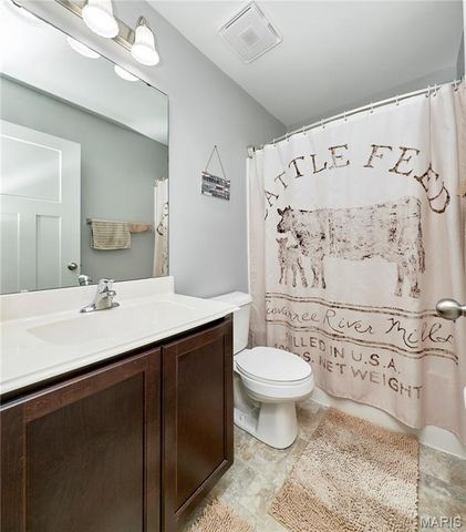 160 Hidden Mill Court, Moscow Mills, MO 63362