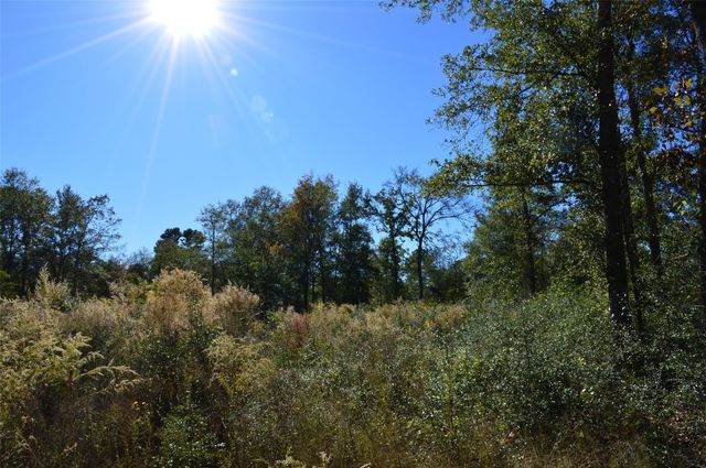 0010 County Road 302, Plantersville, TX 77363