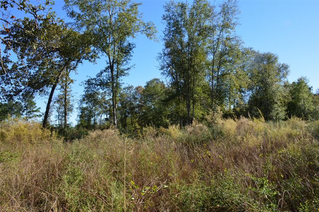 0010 County Road 302, Plantersville, TX 77363