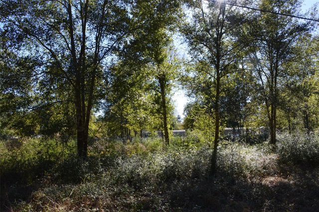 0010 County Road 302, Plantersville, TX 77363