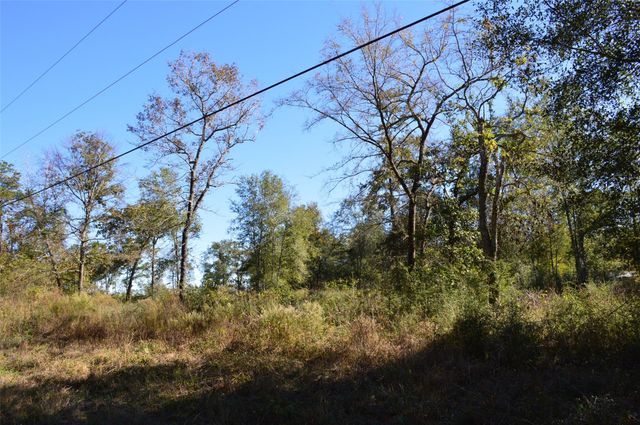 0010 County Road 302, Plantersville, TX 77363