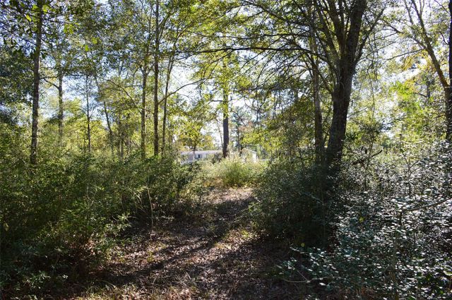 0010 County Road 302, Plantersville, TX 77363