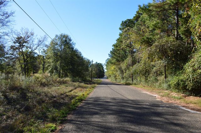 0010 County Road 302, Plantersville, TX 77363