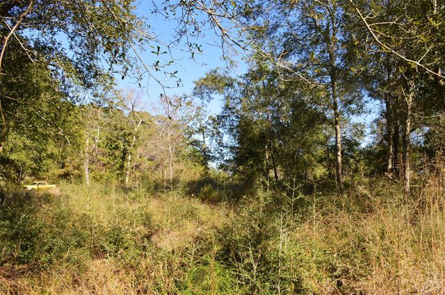 0010 County Road 302, Plantersville, TX 77363