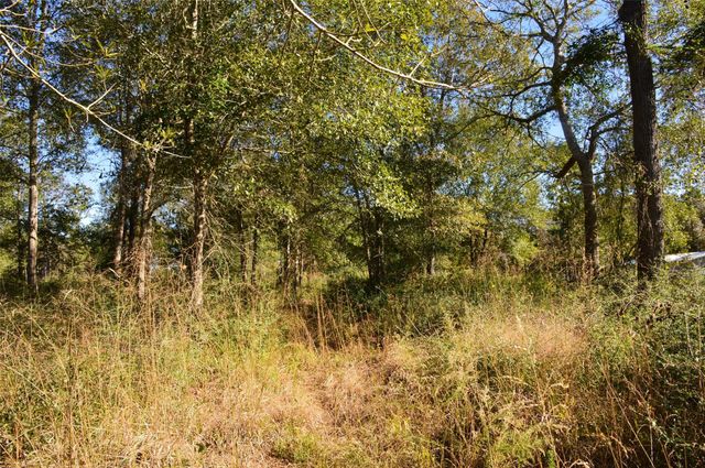 0010 County Road 302, Plantersville, TX 77363