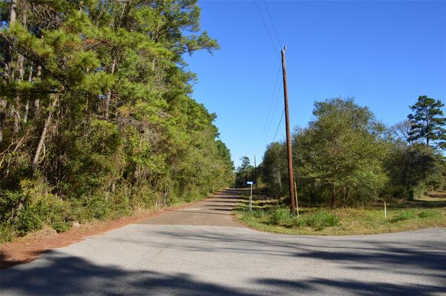0010 County Road 302, Plantersville, TX 77363