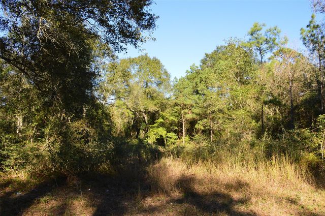 0010 County Road 302, Plantersville, TX 77363