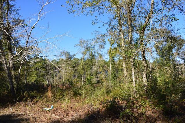 0010 County Road 302, Plantersville, TX 77363