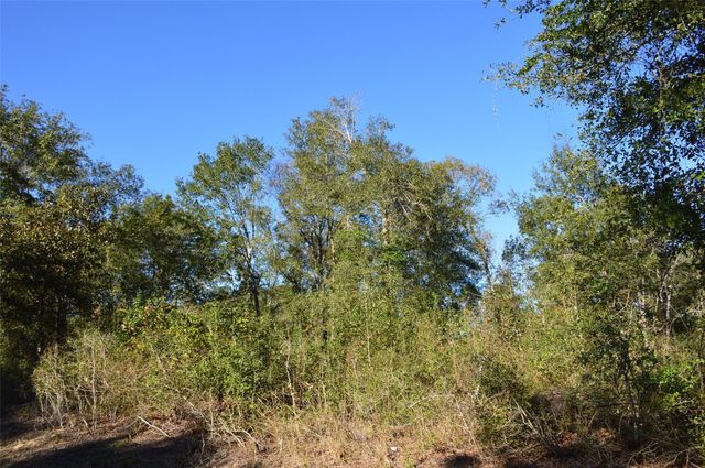 0010 County Road 302, Plantersville, TX 77363