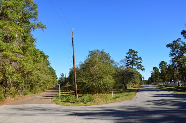 0010 County Road 302, Plantersville, TX 77363
