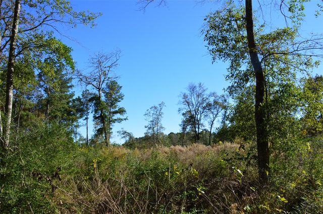 0010 County Road 302, Plantersville, TX 77363