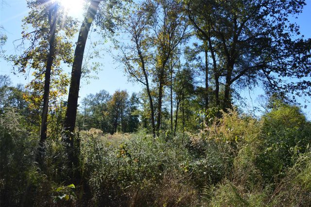 0010 County Road 302, Plantersville, TX 77363