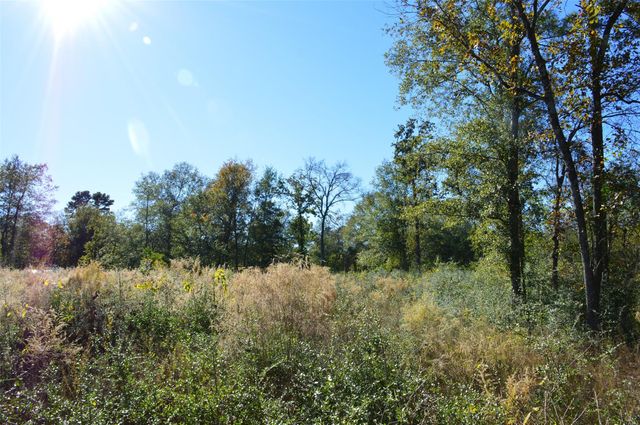 0010 County Road 302, Plantersville, TX 77363