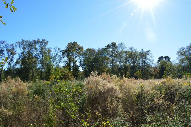 0010 County Road 302, Plantersville, TX 77363