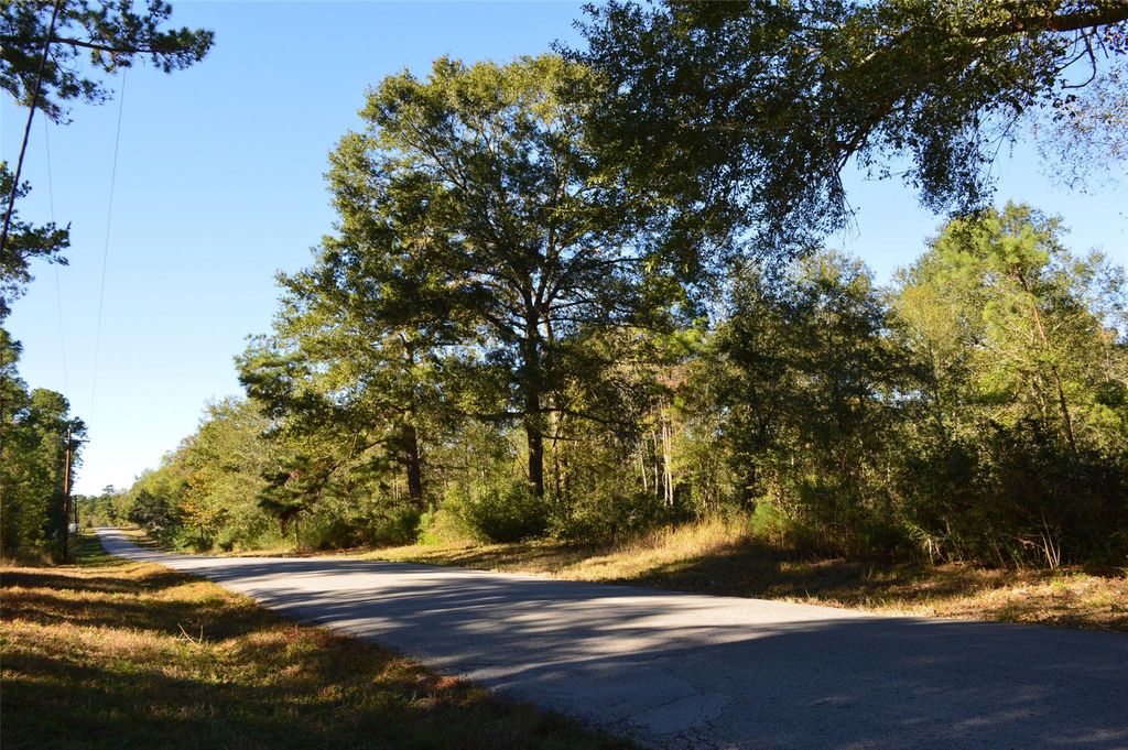0010 County Road 302, Plantersville, TX 77363