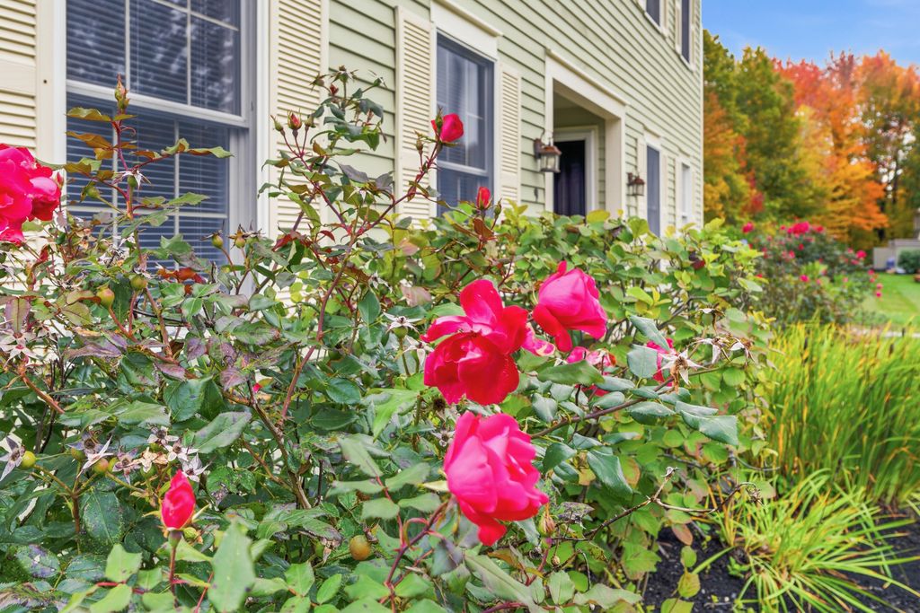 49 Blacksmith Road 9, Wells, ME 04090 — photo 5