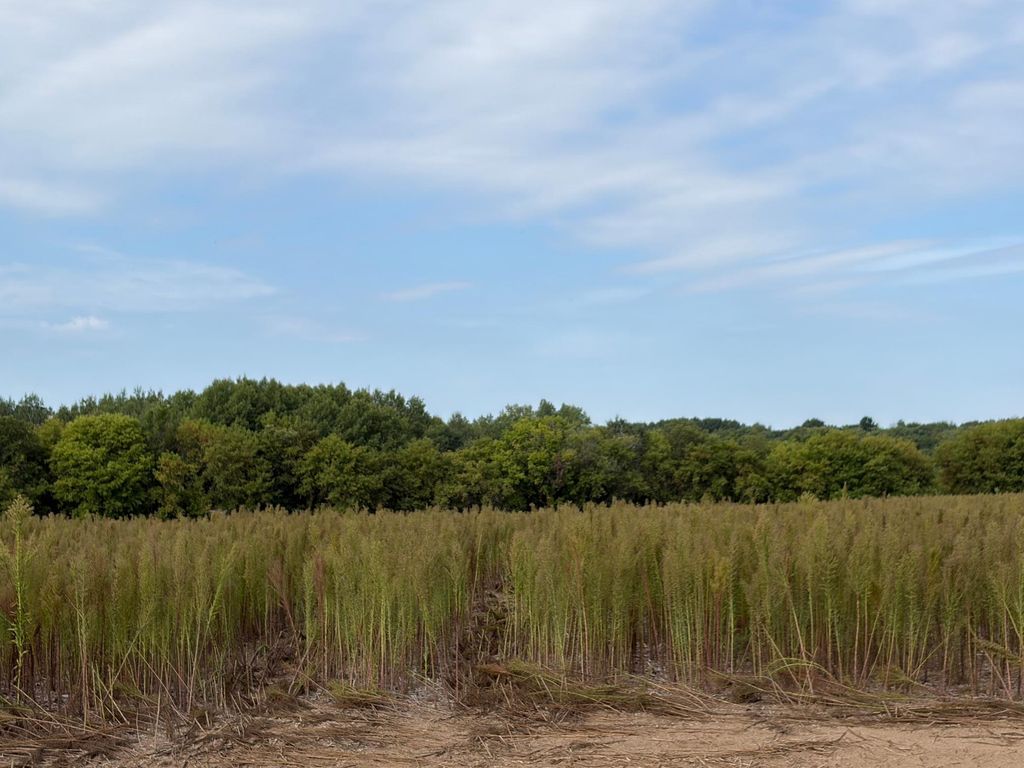 TBD (L6-SM East) Yellowpine Court NW, Isanti, MN 55040 — exterior