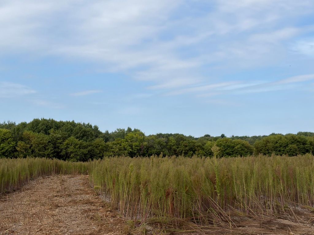TBD (L6-SM East) Yellowpine Court NW, Isanti, MN 55040 — photo 2