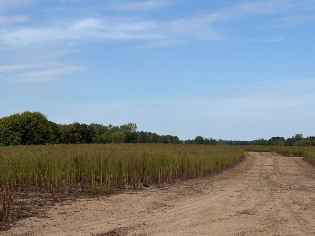 TBD (L6-SM East) Yellowpine Court NW, Isanti, MN 55040 — photo 3