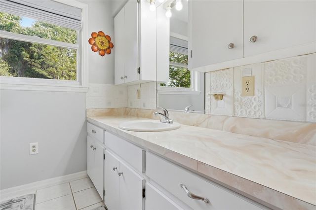 1289 CR 436, Lake Panasoffkee, FL 33538