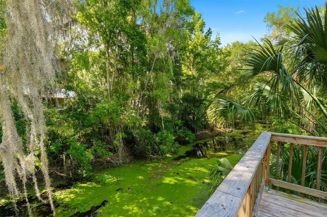 1289 CR 436, Lake Panasoffkee, FL 33538