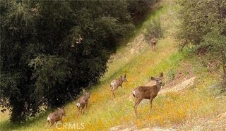 3418 Dorothy, Topanga (los Angeles), CA 90290