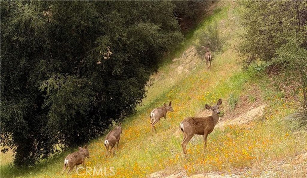 3418 Dorothy, Topanga (los Angeles), CA 90290