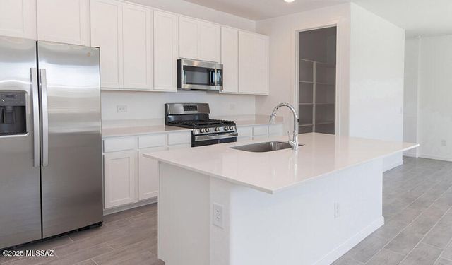 10600 W Walker Brown Drive, Marana, AZ 85653