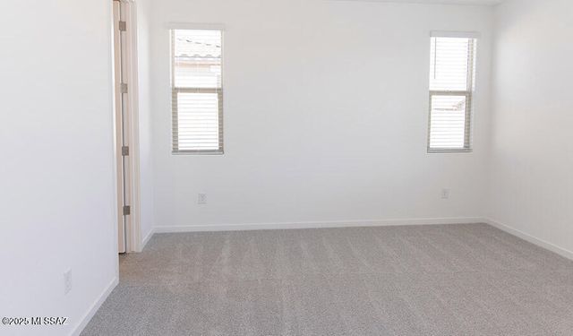 10600 W Walker Brown Drive, Marana, AZ 85653