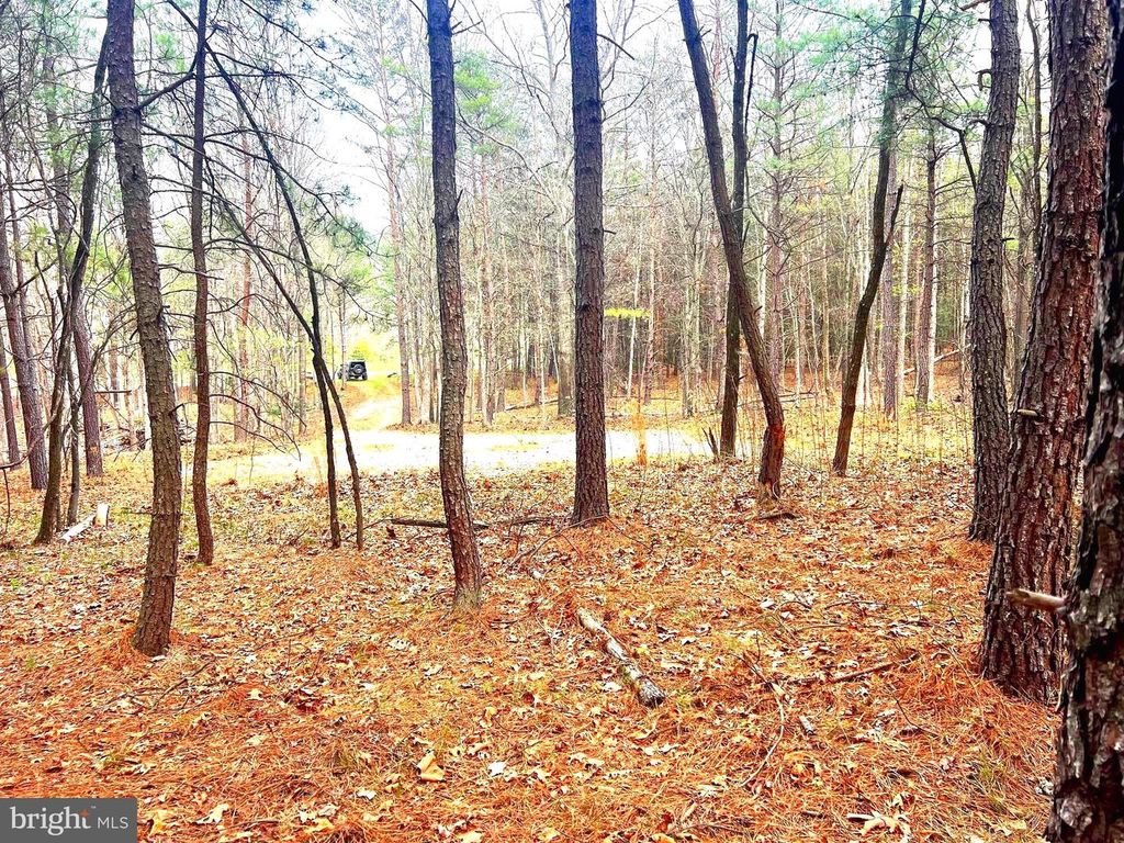 Image 10 of property listing at 85 TROUGH VIEW RD, Moorefield, WV 26836