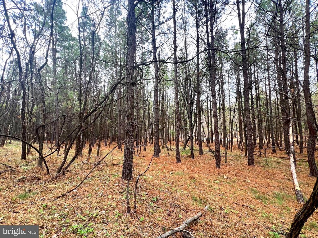 Image 13 of property listing at 85 TROUGH VIEW RD, Moorefield, WV 26836