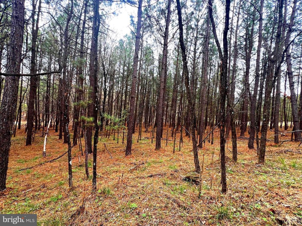 Image 15 of property listing at 85 TROUGH VIEW RD, Moorefield, WV 26836