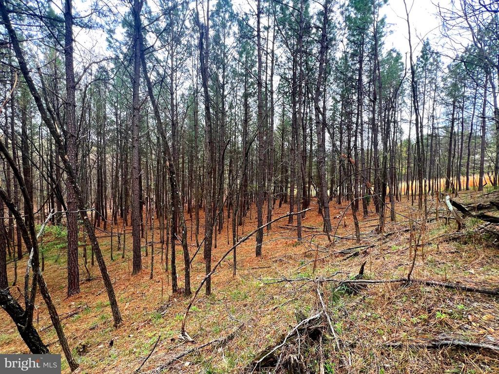 Image 16 of property listing at 85 TROUGH VIEW RD, Moorefield, WV 26836