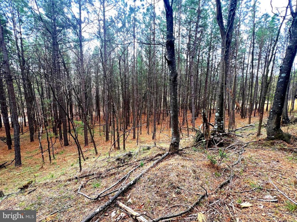 Image 17 of property listing at 85 TROUGH VIEW RD, Moorefield, WV 26836