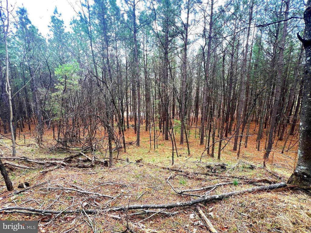 Image 18 of property listing at 85 TROUGH VIEW RD, Moorefield, WV 26836