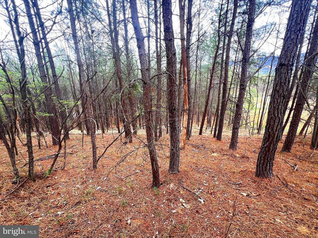 Image 19 of property listing at 85 TROUGH VIEW RD, Moorefield, WV 26836