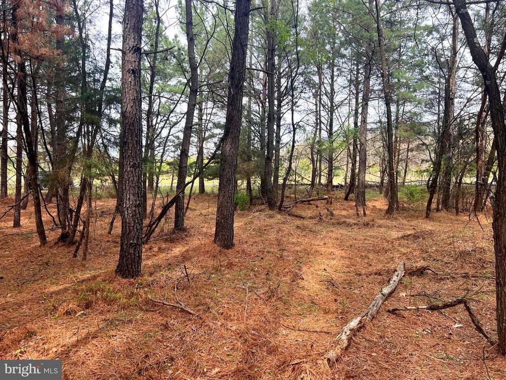 Image 2 of property listing at 85 TROUGH VIEW RD, Moorefield, WV 26836